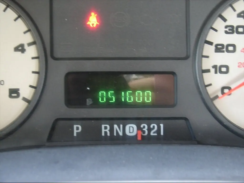 image-19