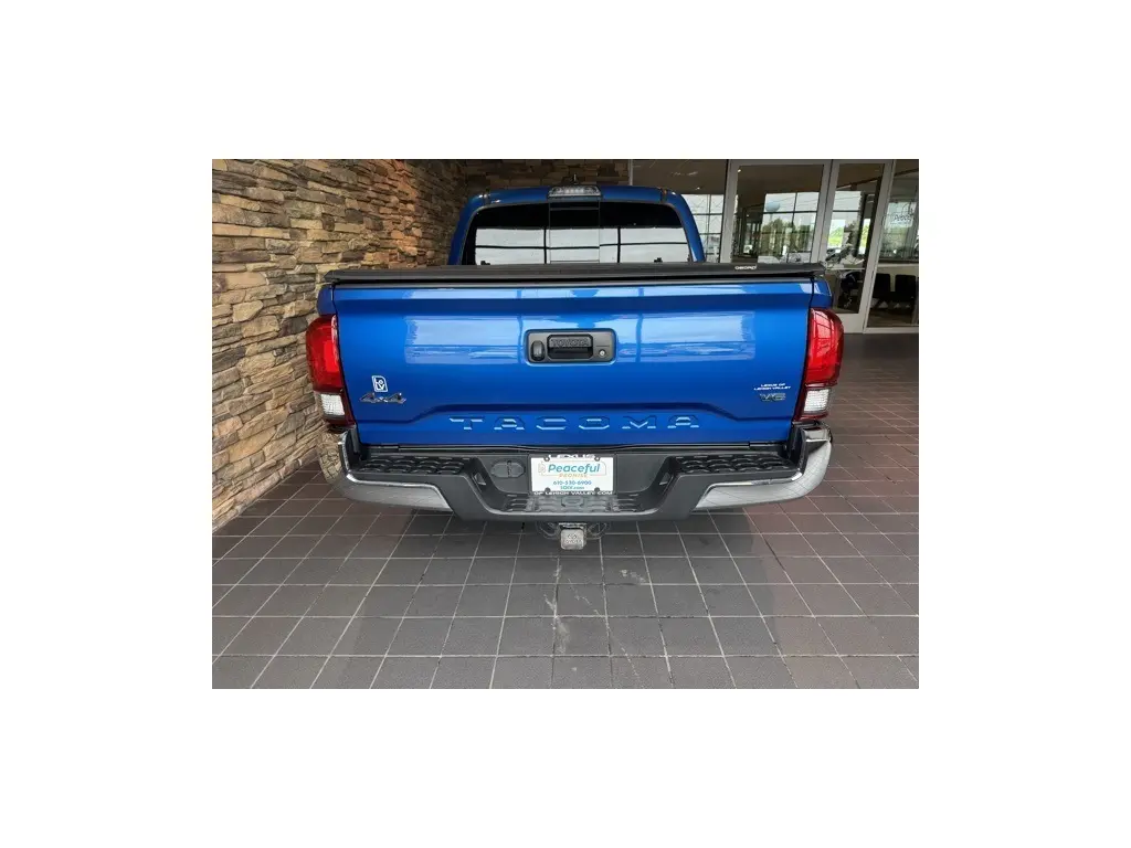 image-10