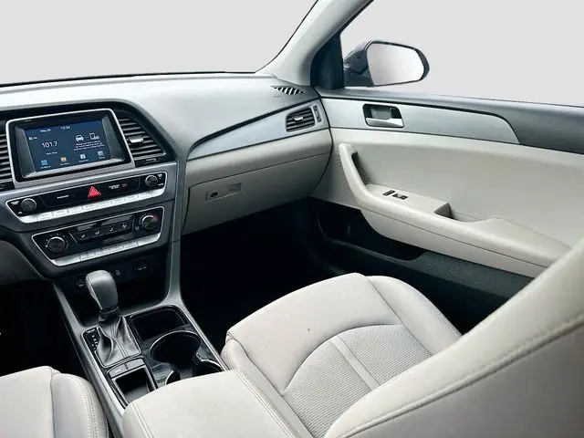 image-19