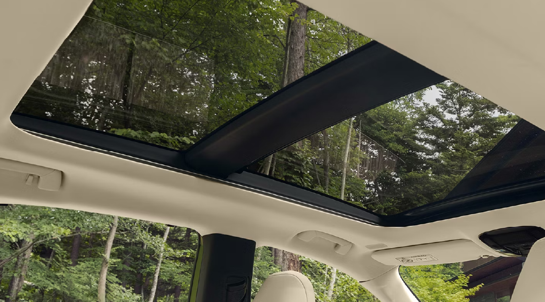 2026 Lexus RX Interior