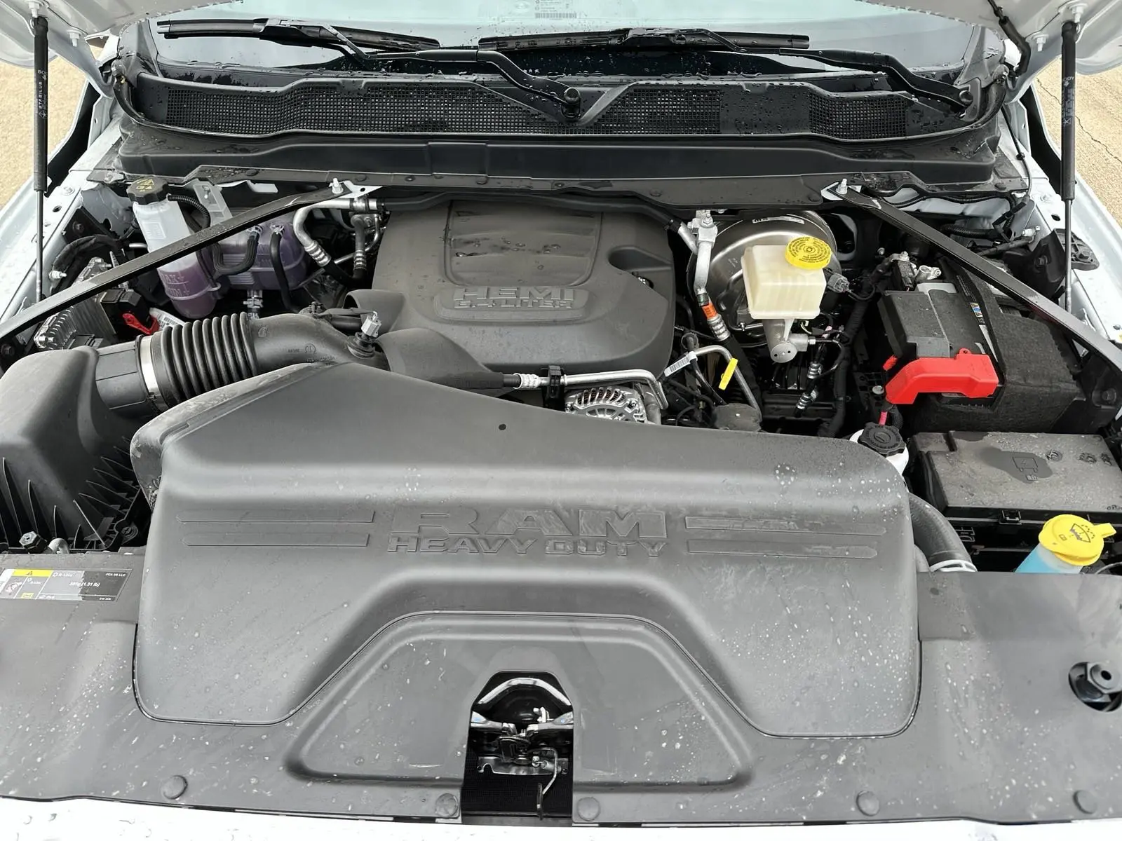 image-8