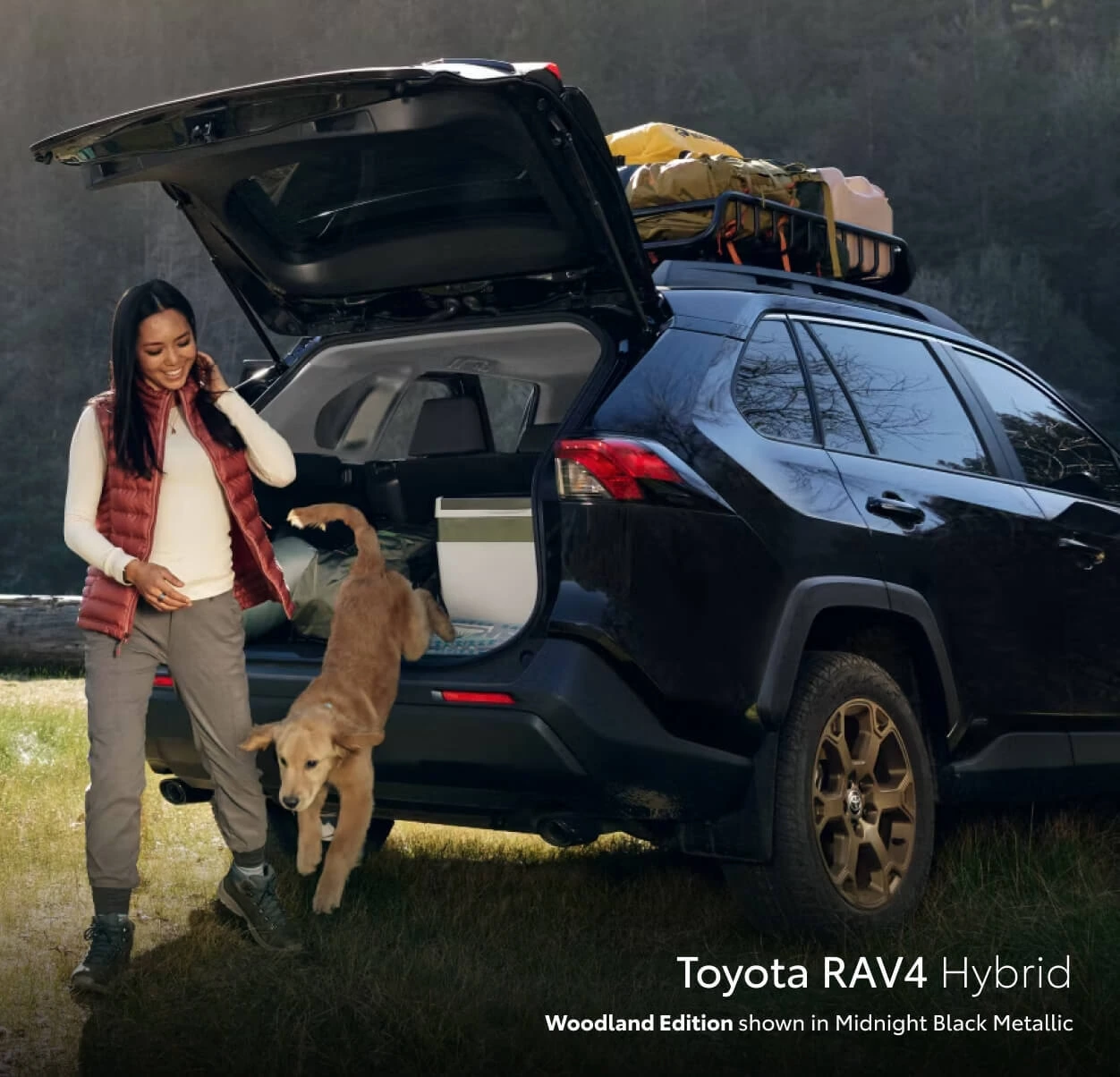 Toyota RAV4 Weight & Gross Vehicle Weight Rating Comparison
