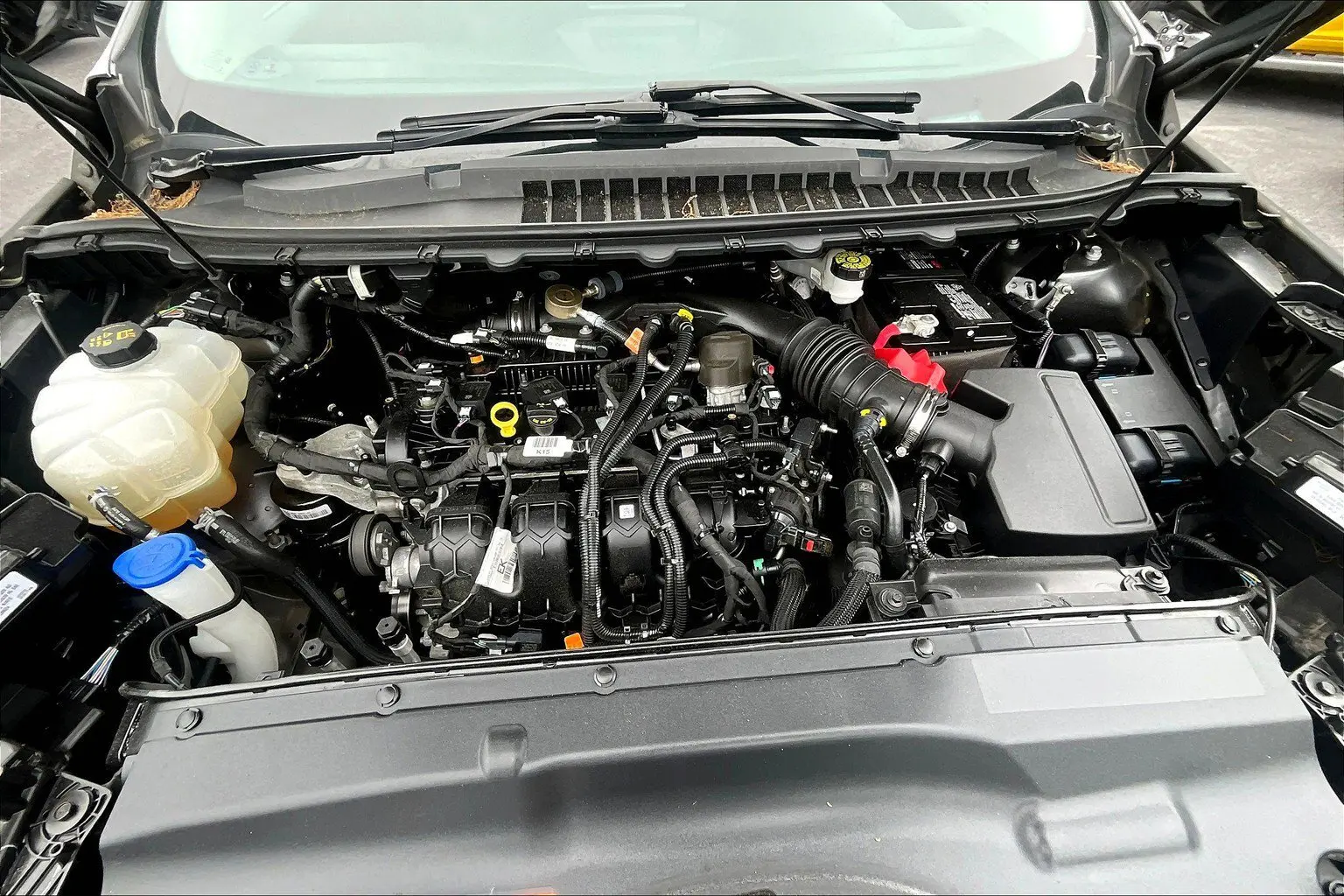 image-8