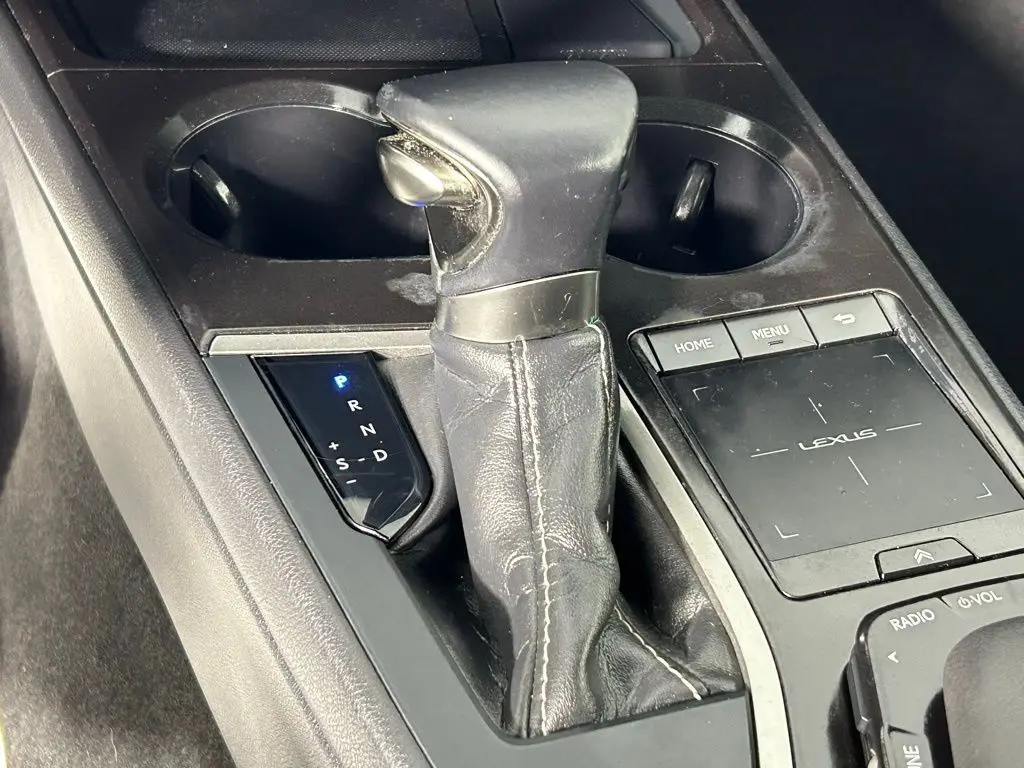 2021 Lexus UX 250h photo 24