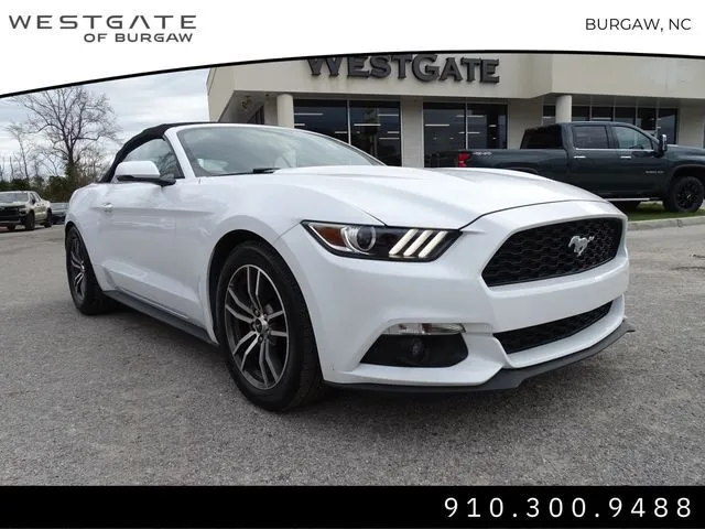 Used 2017 Ford Mustang EcoBoost Premium with VIN 1FATP8UHXH5293501 for sale in Raleigh, NC