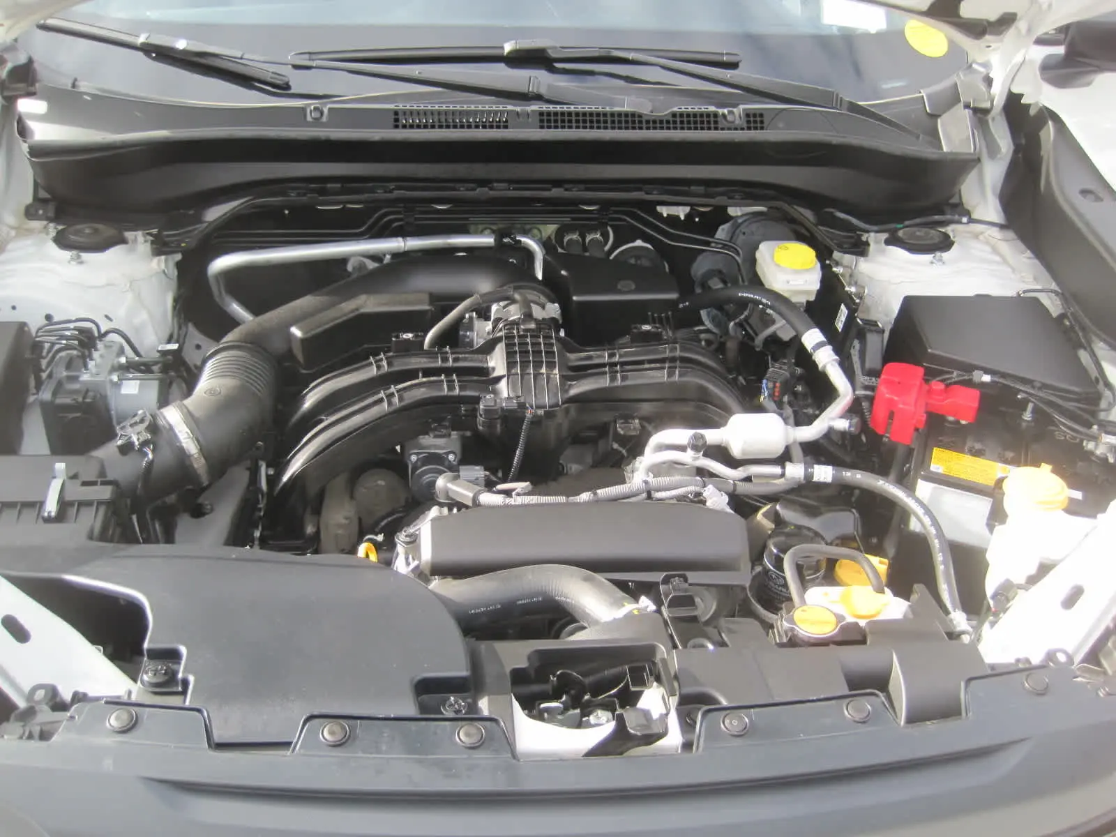 image-6