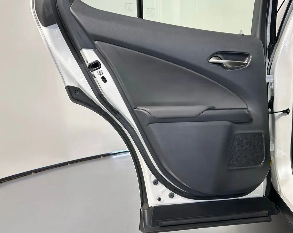 2021 Lexus UX 250h photo 15