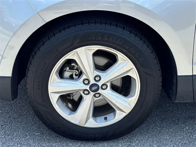 image-19