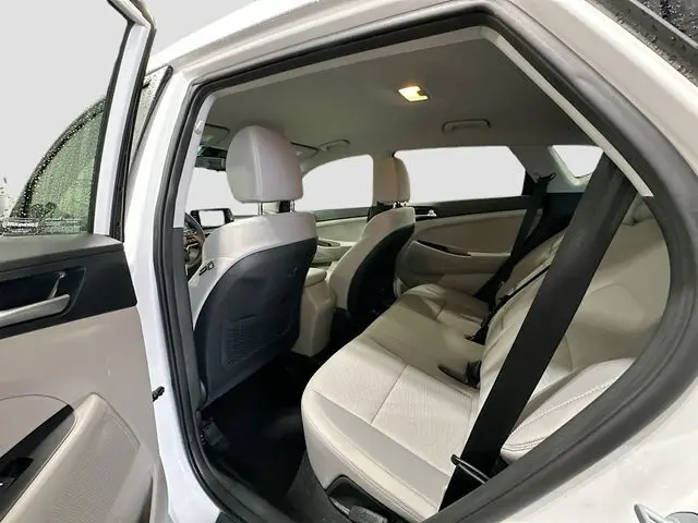 image-19