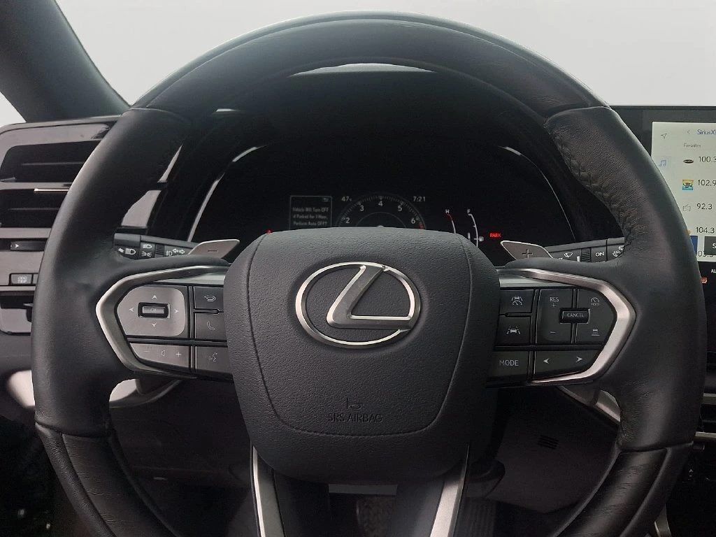2024 Lexus RX 350 - Photo 20