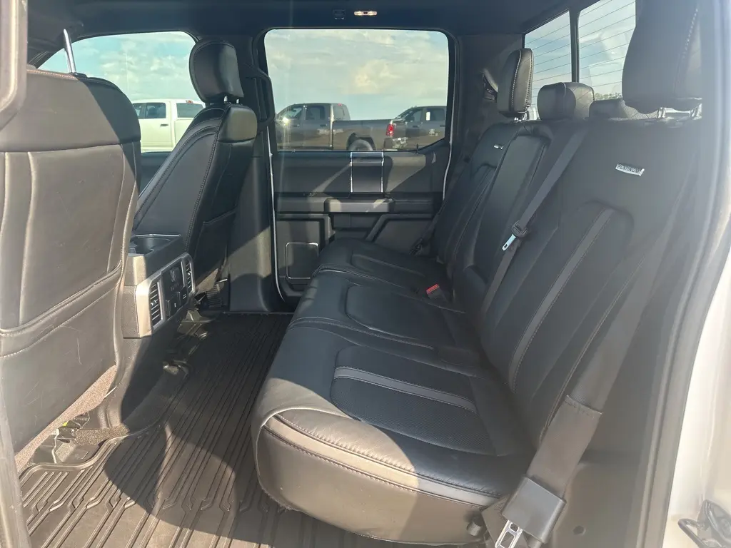 2020 Ford F-150 Platinum photo 10