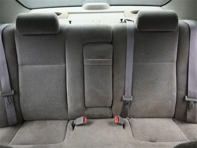 image-19
