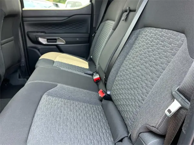image-19