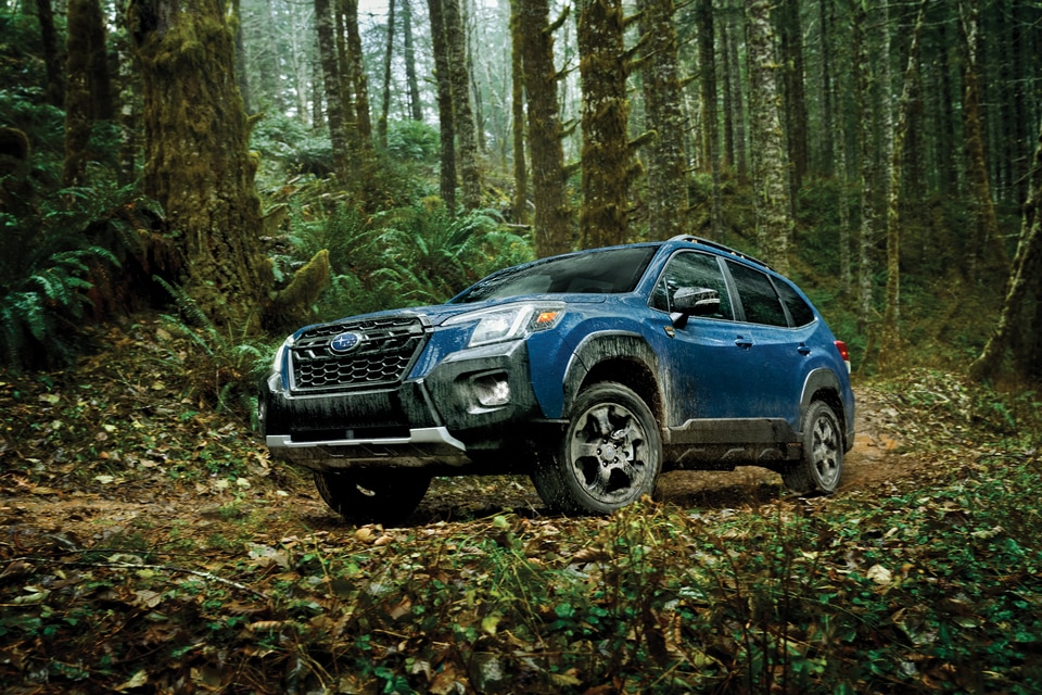 Subaru Forester Wilderness for sale at Wayne Subaru