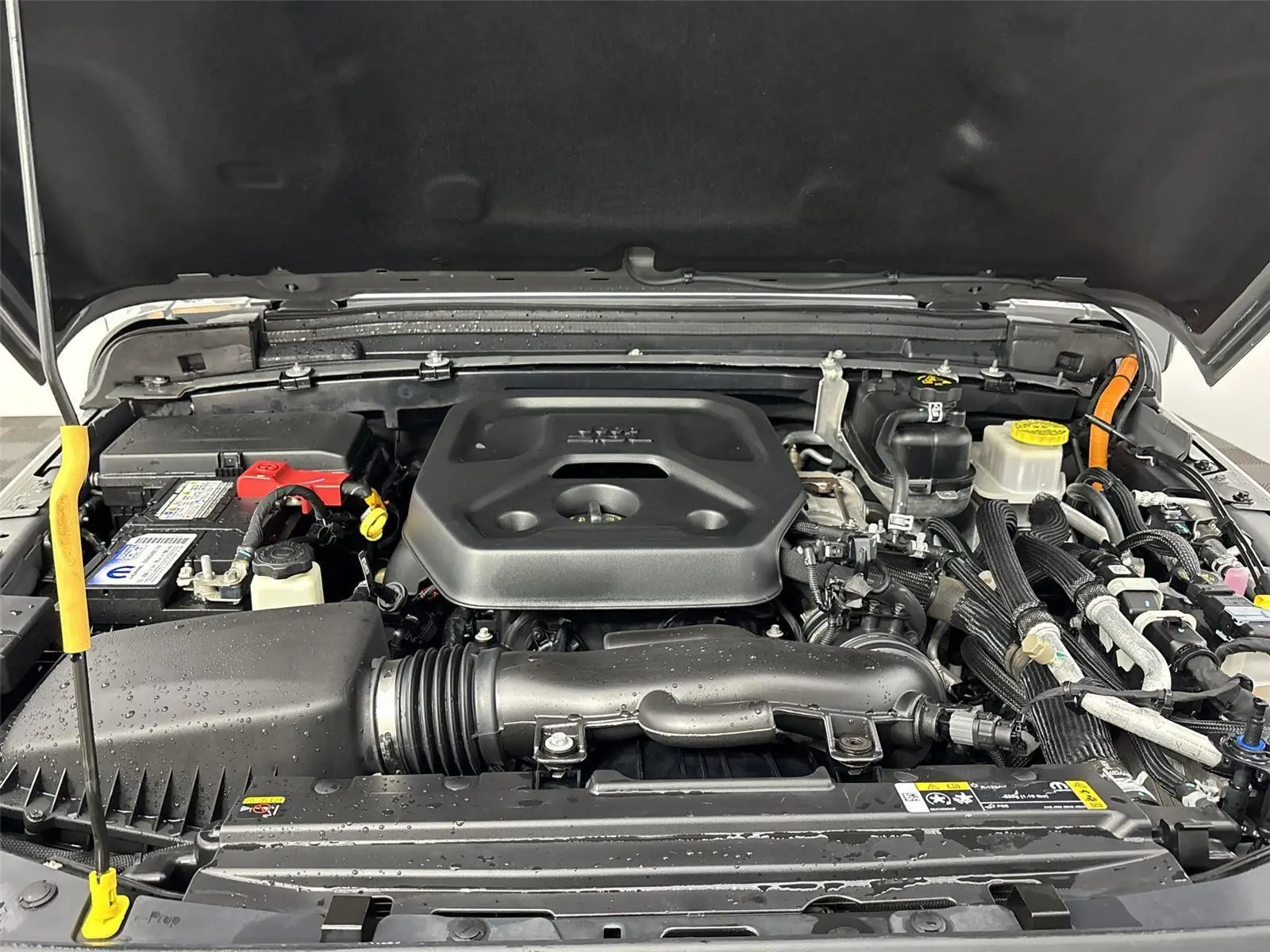 image-19