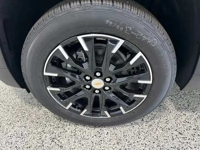 image-19