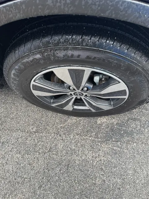 image-5