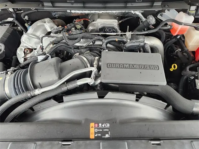 image-19