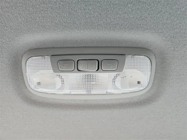 image-19