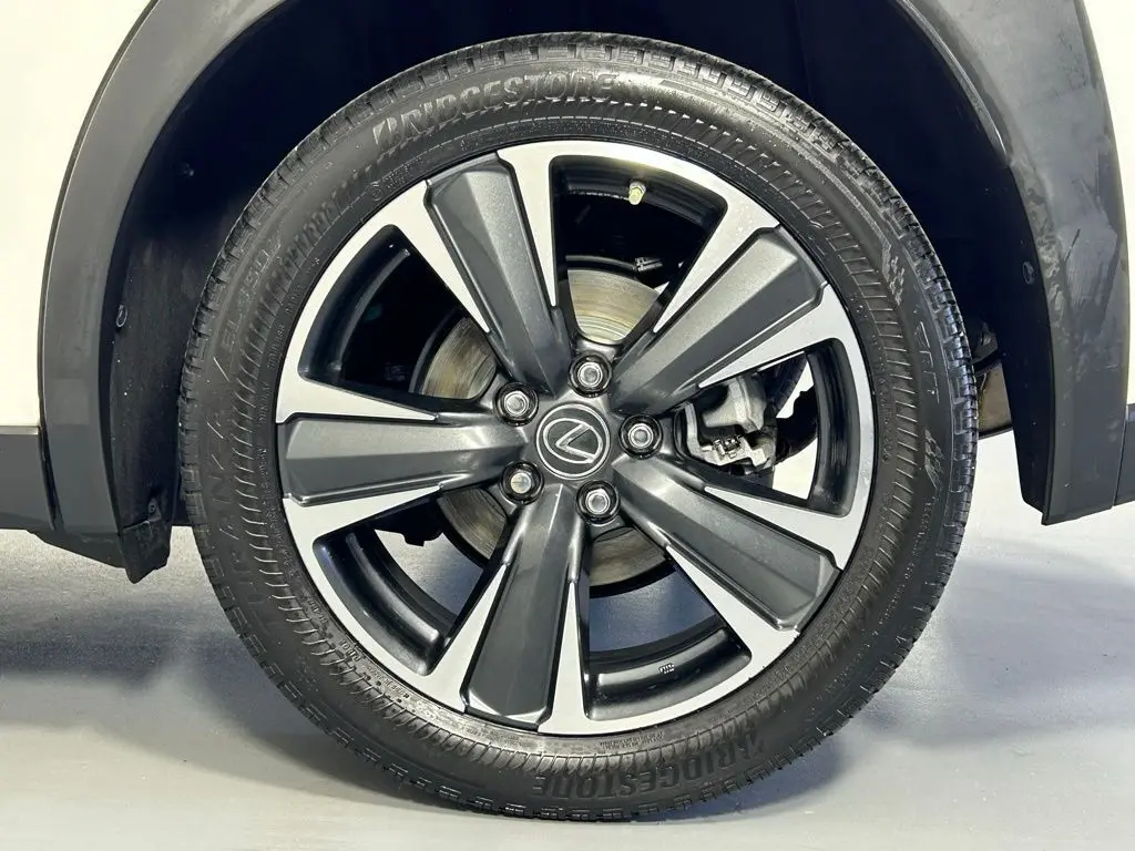 2021 Lexus UX 250h photo 37
