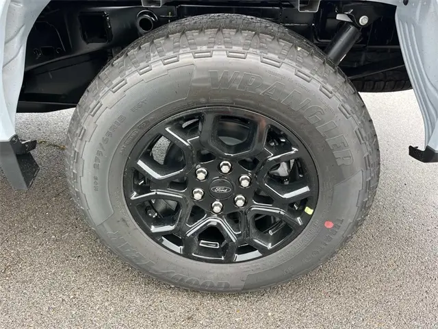 image-10
