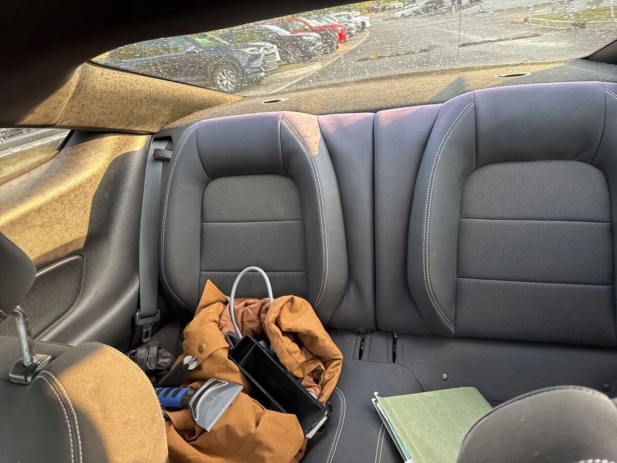 image-7