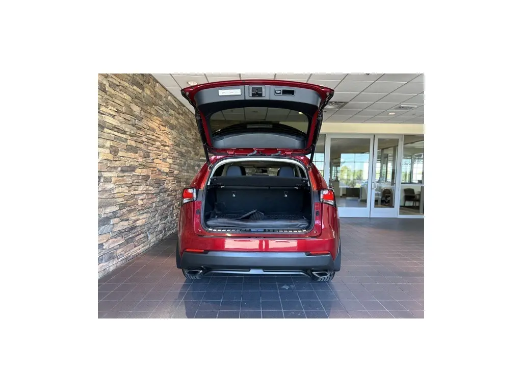 image-11