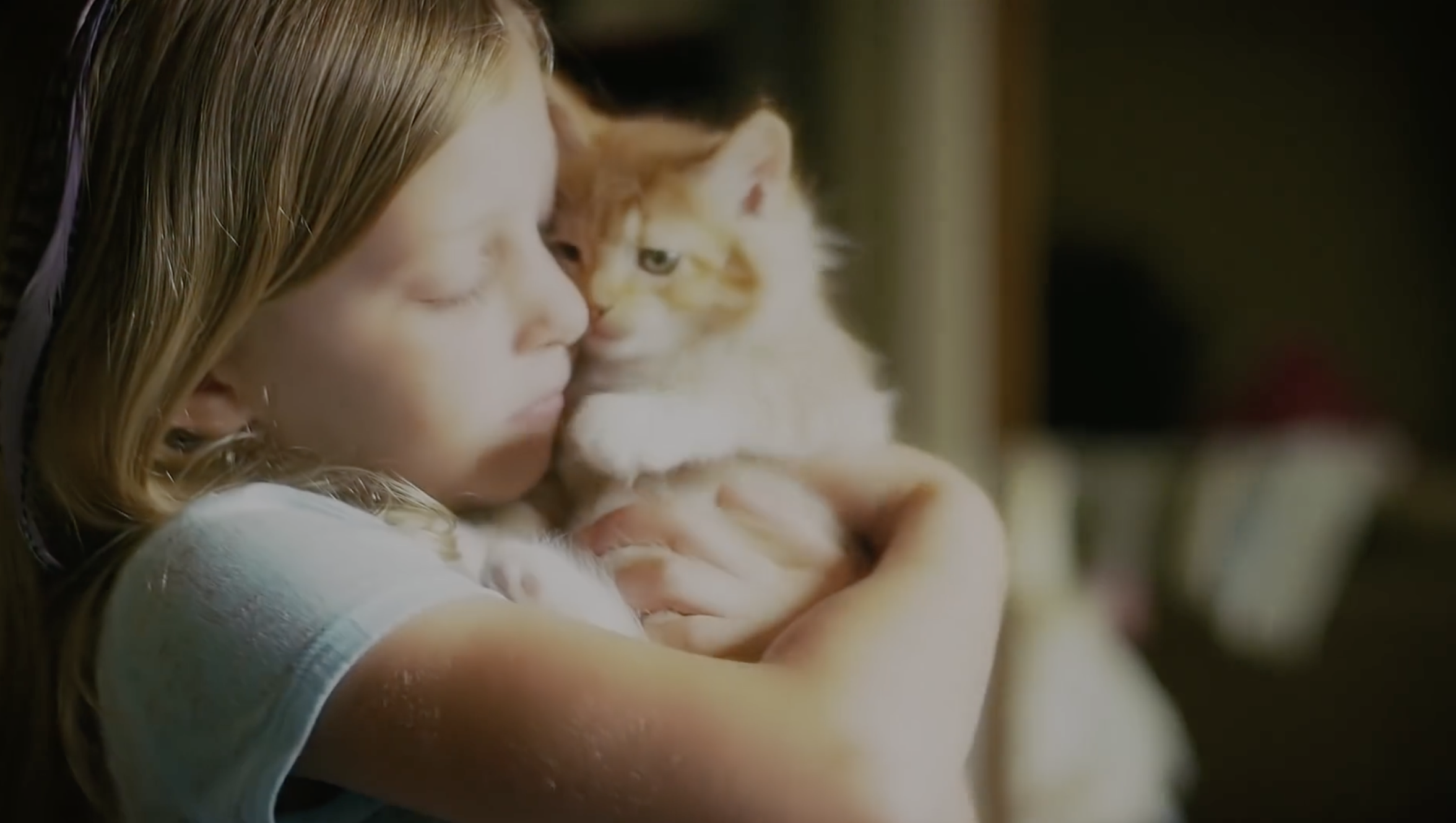 Genuine Subaru Pet-friendly Accessory Highlights