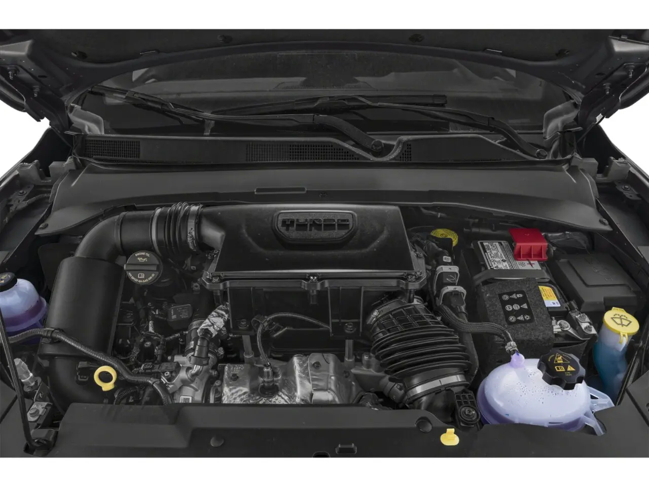 image-8