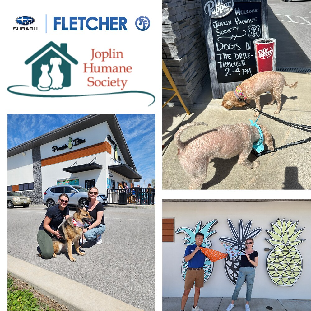 Pets at the Pineapple Bliss fundraiser for the Joplin Humane Society