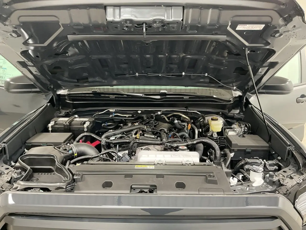 image-19