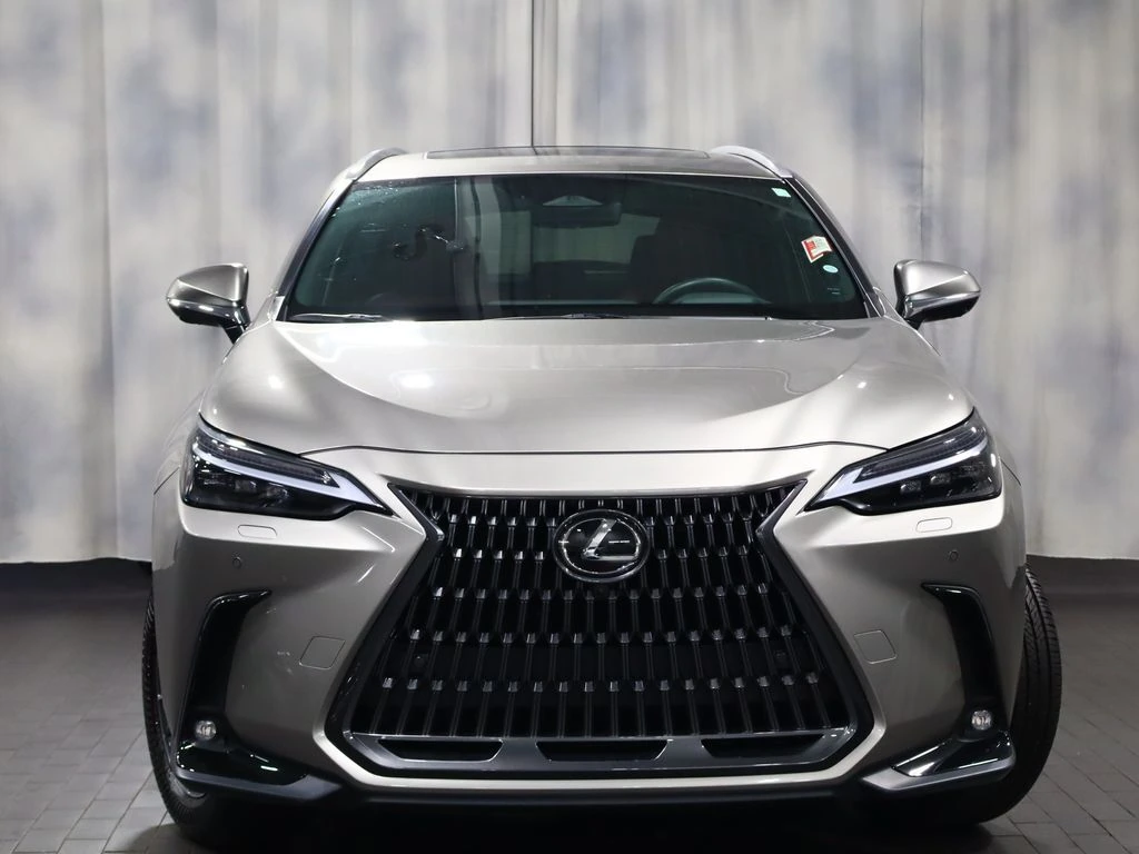 2025 Lexus NX 350 - Photo 8