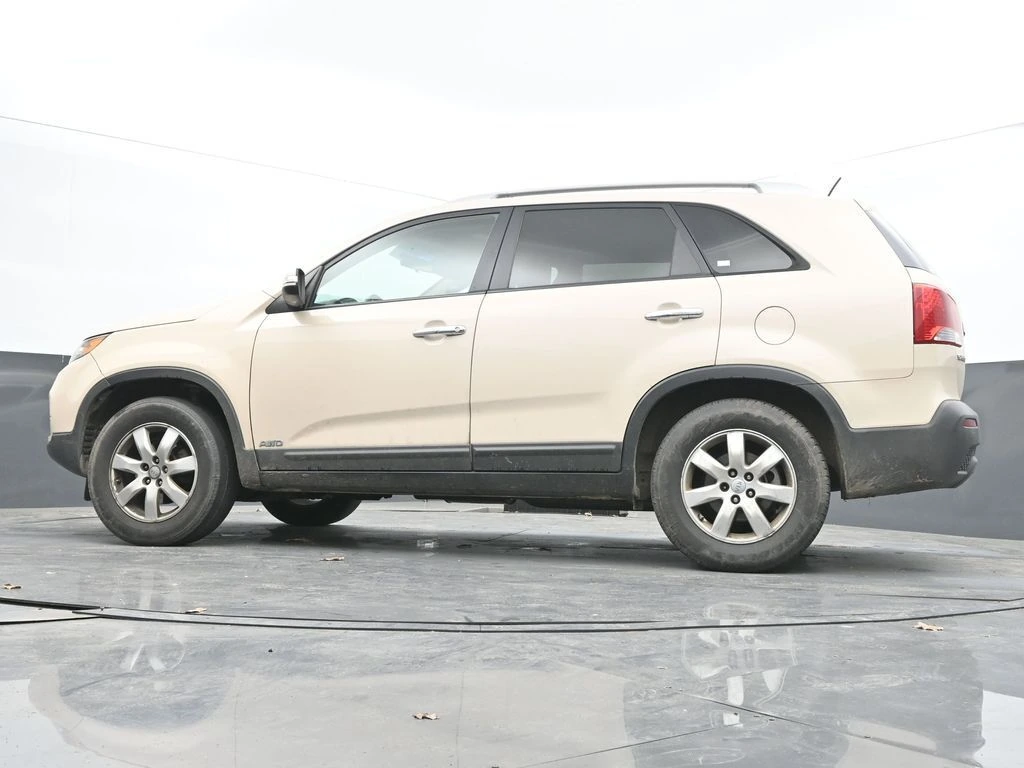 image-25