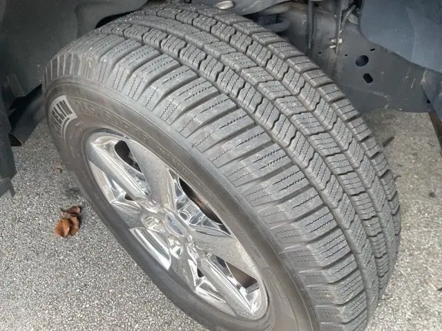 image-7