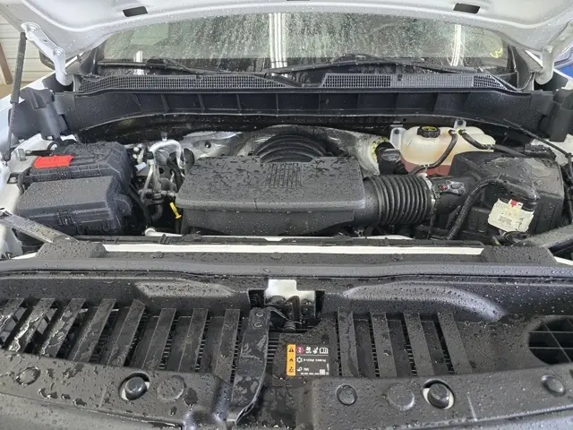 image-19
