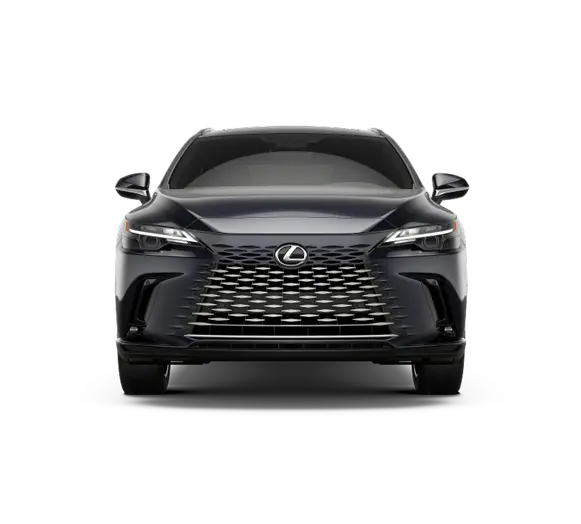 2025 Lexus RX 350h Premium AWD photo 4