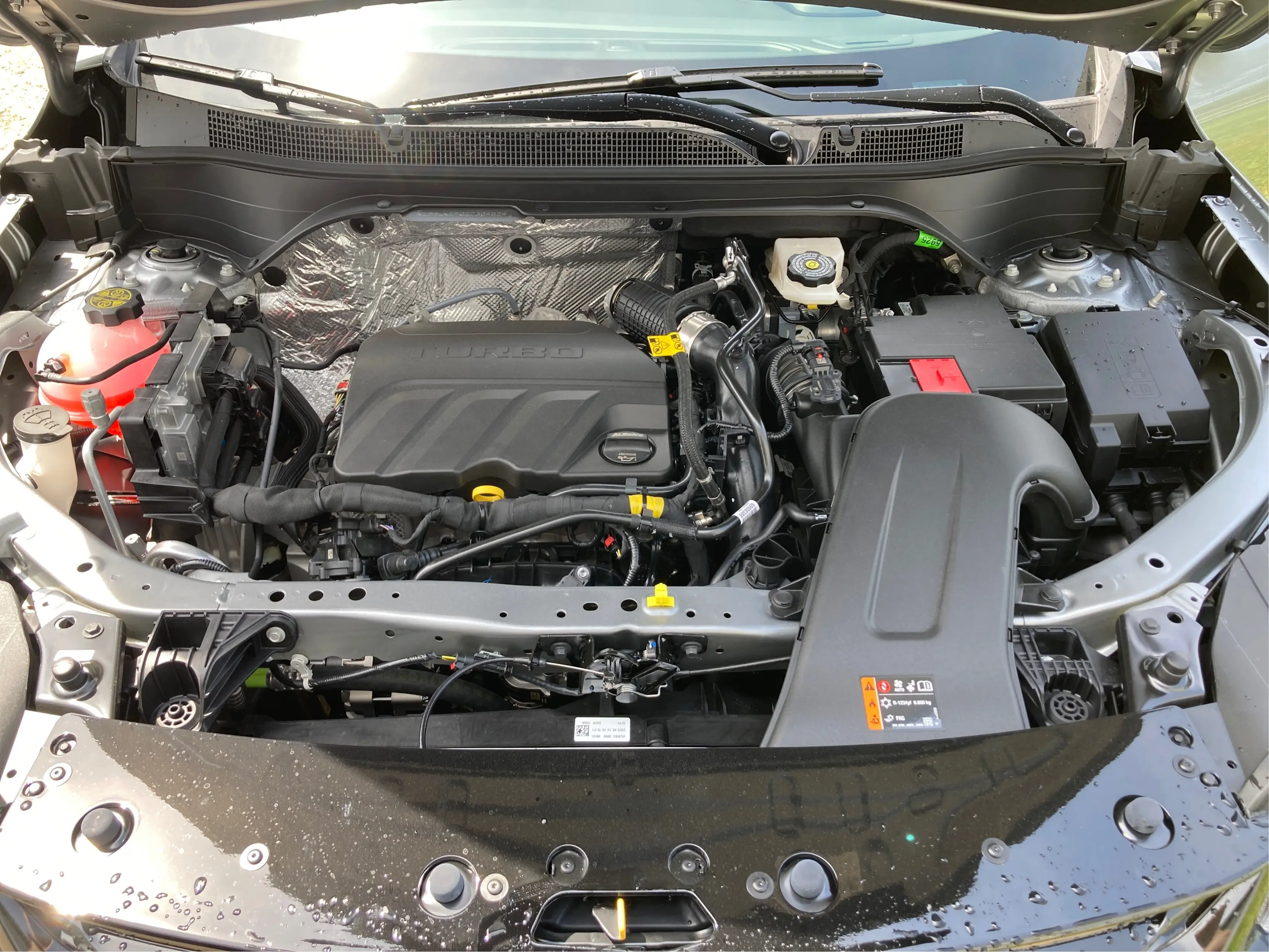 image-10