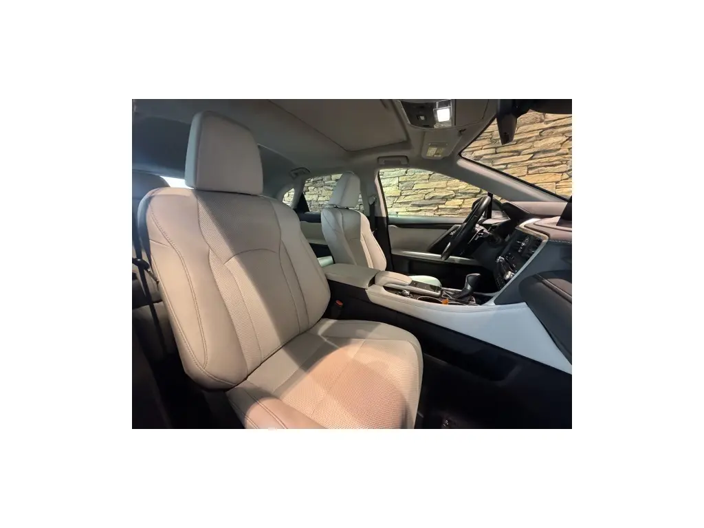 image-19
