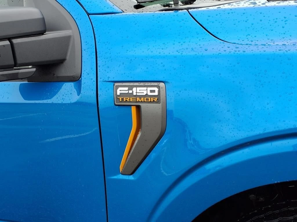 2021 Ford F-150 Tremor - Photo 11