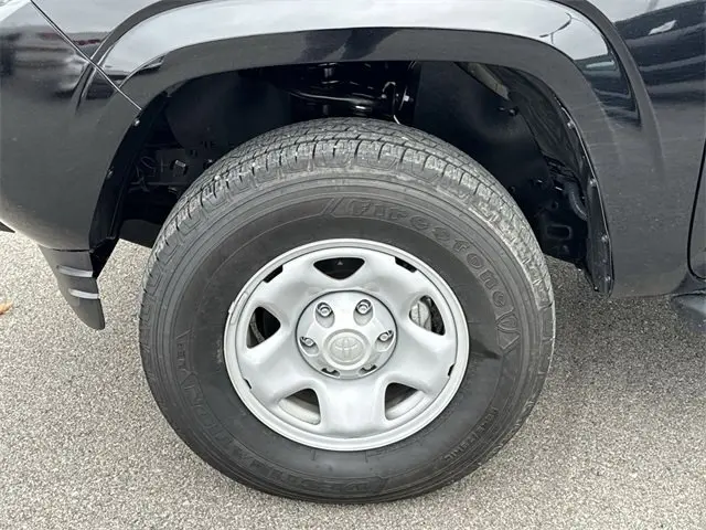 image-19