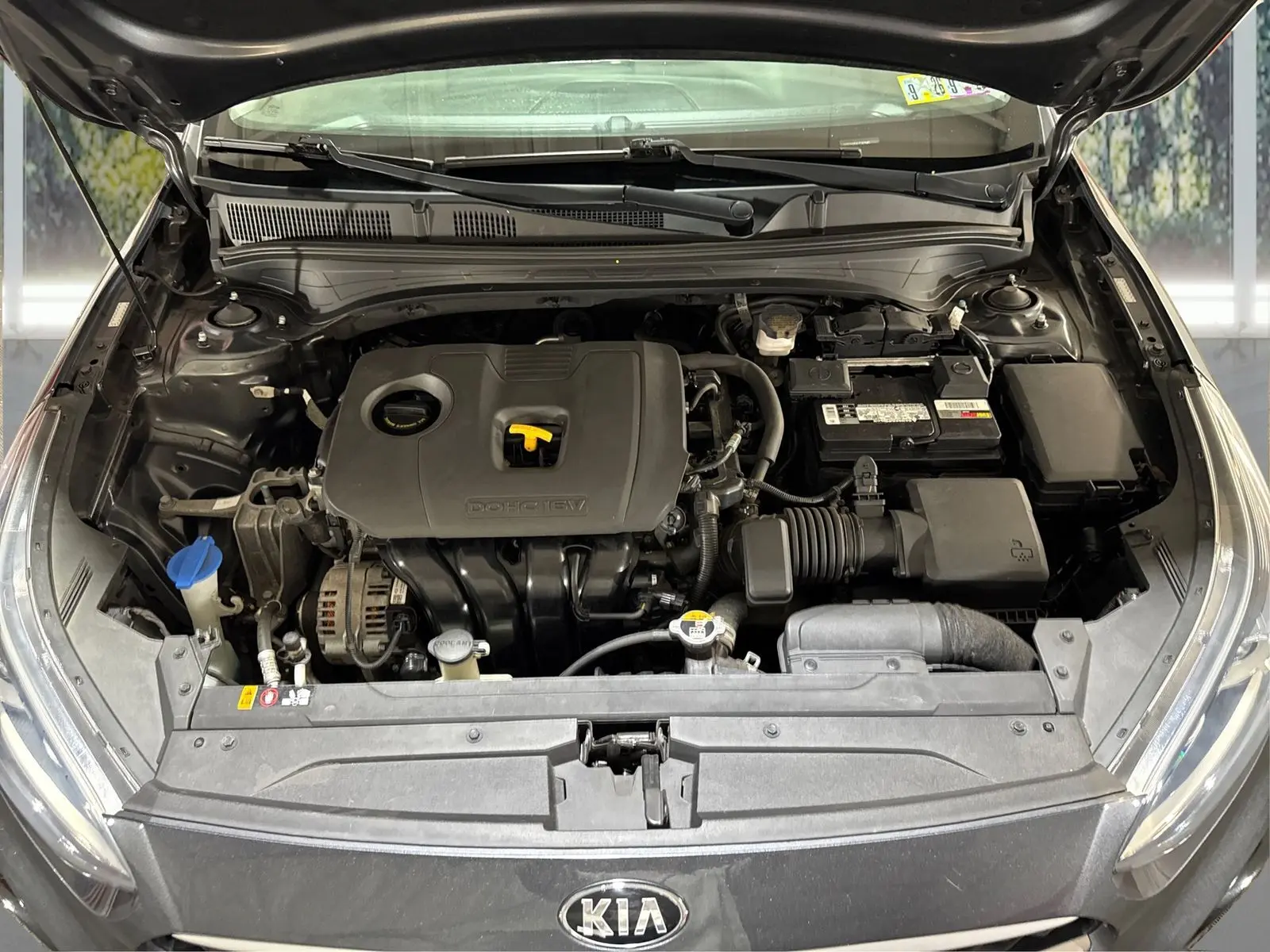 image-19