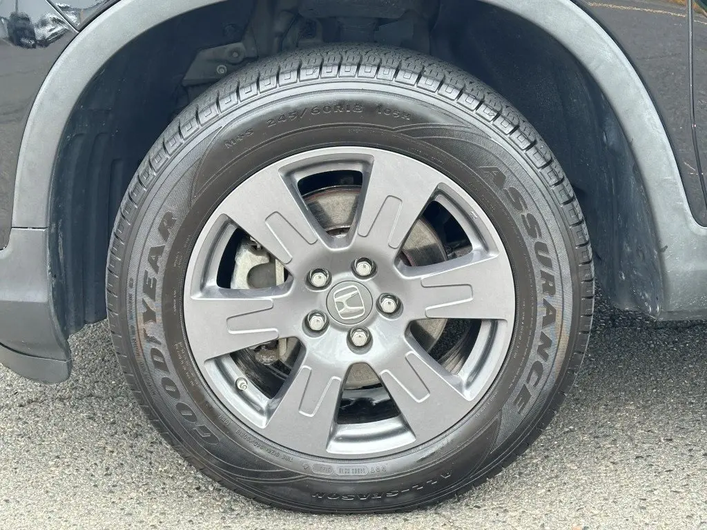image-4