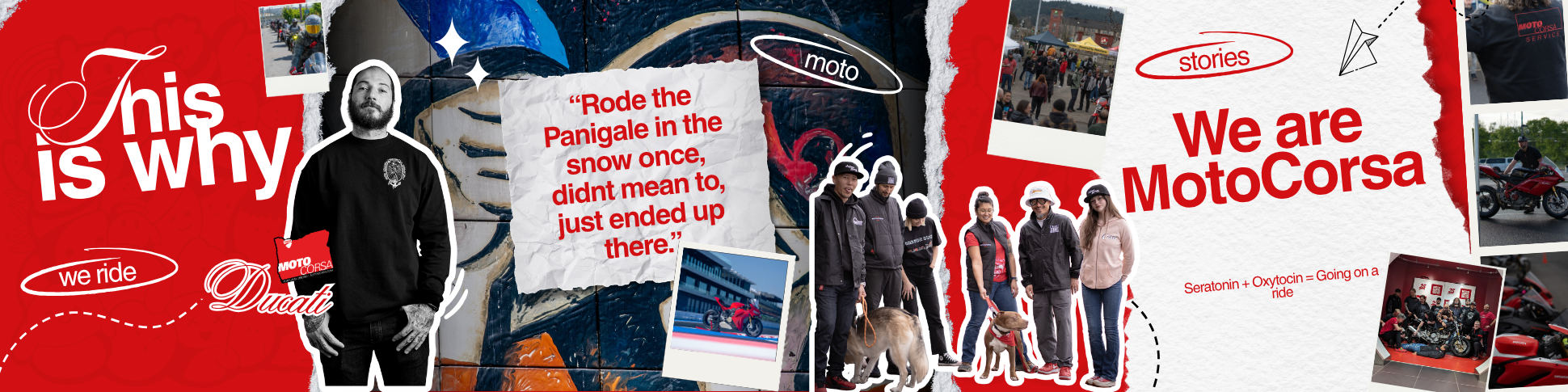 banner-image