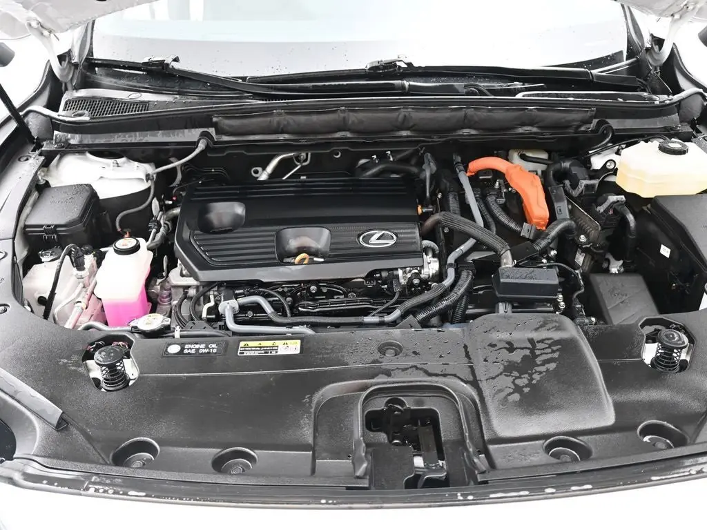 image-18