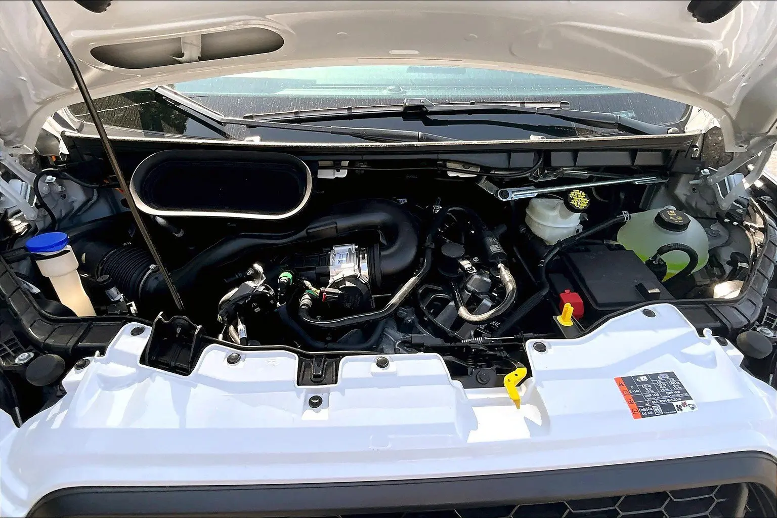 image-9