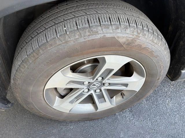 image-19