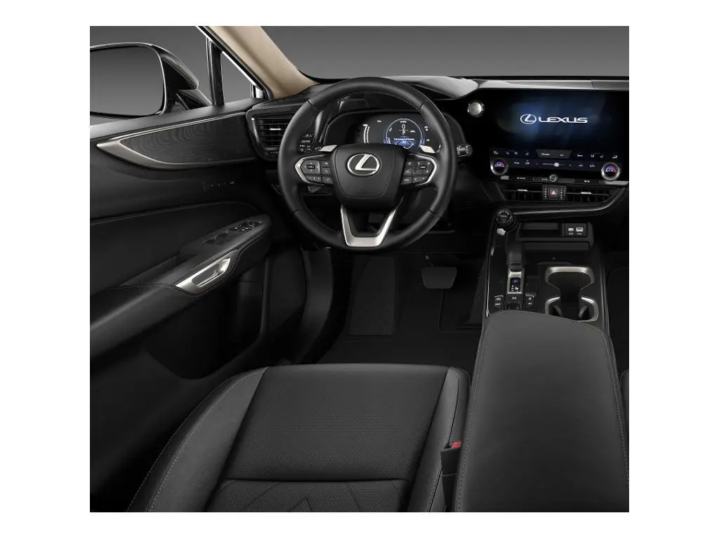 image-12
