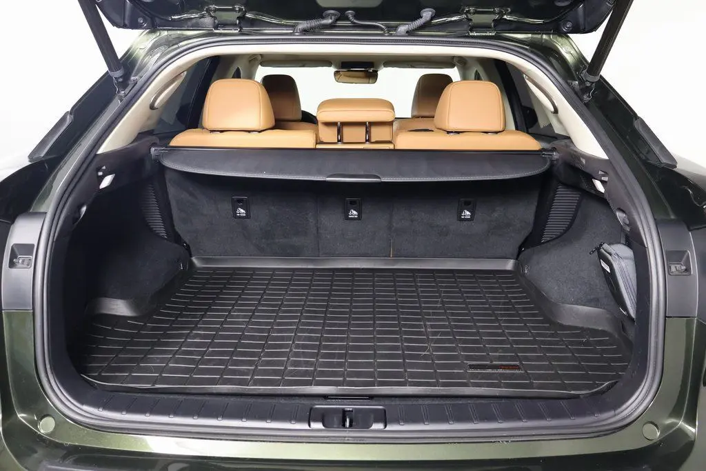 2022 Lexus RX 450h photo 14