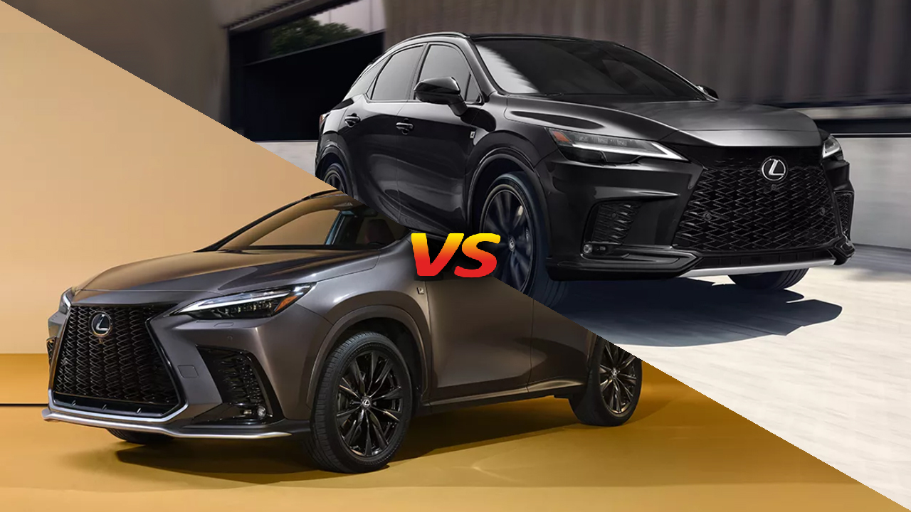2026 Lexus RX or NX? Finding Your Perfect Fit Near Bluffton, SC