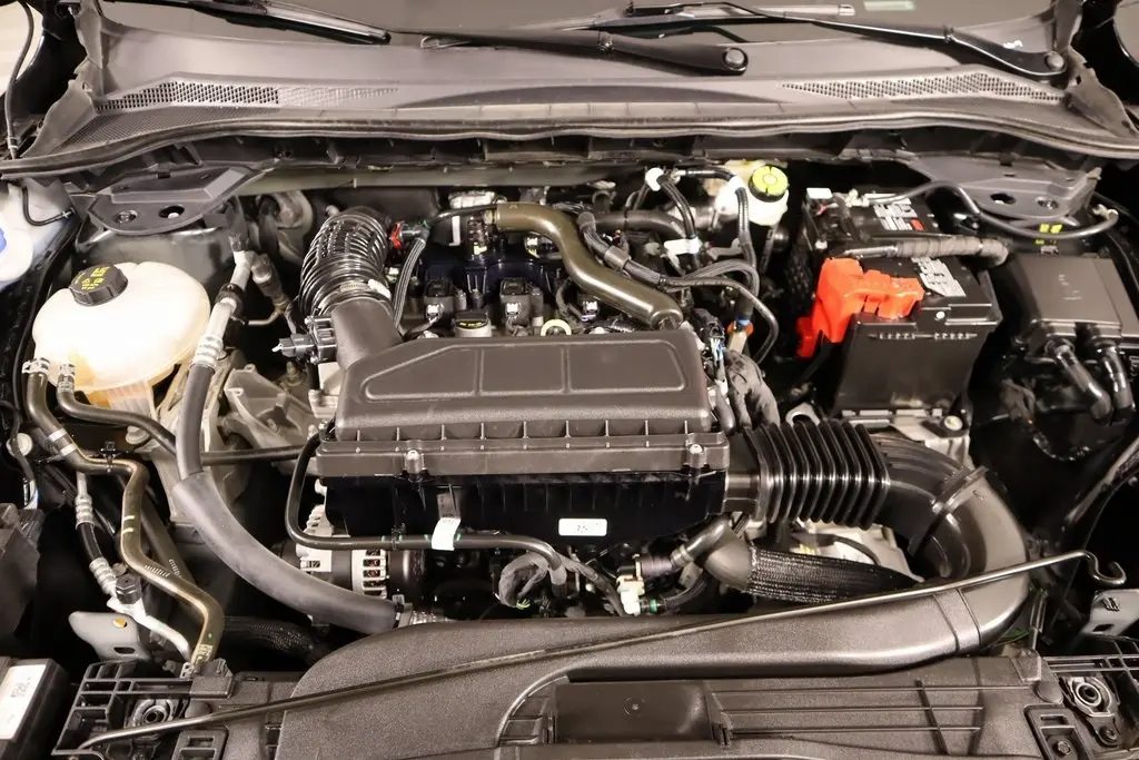 image-19